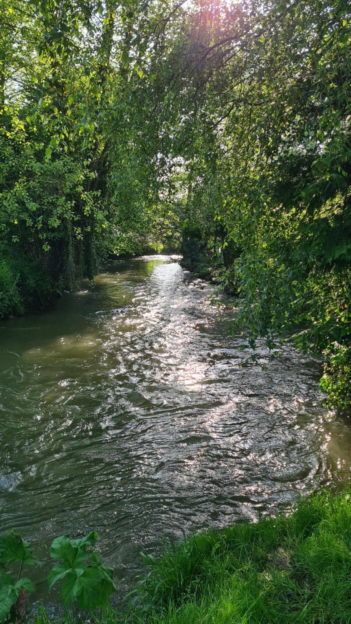 Les Gites De La Renardiere Gueures Exterior foto